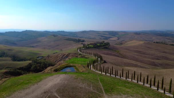 Italien Cypresses Väg Landsbygd Gränd Toscana Panorama Översikt Drönare Cinematic — Stockvideo
