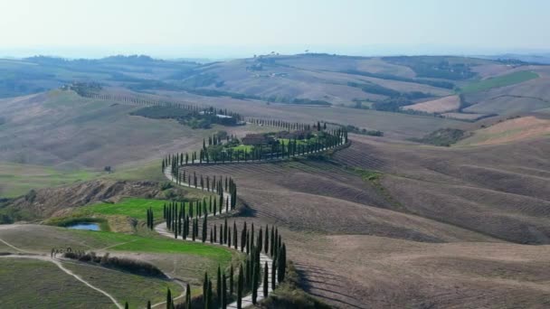 Itália Ciprestes Estrada Beco Rural Toscana Panorama Órbita Drone Cinemática — Vídeo de Stock
