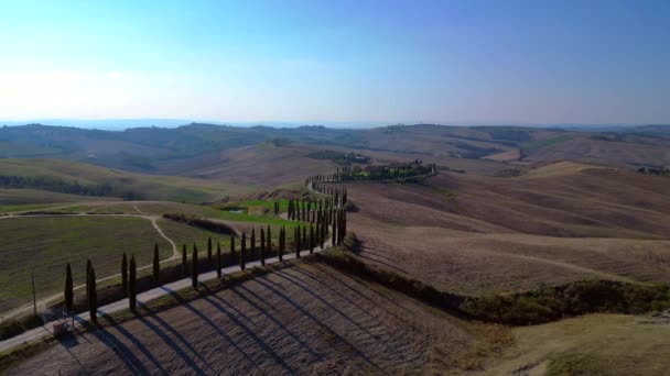 Italie Cyprès Route Ruelle Rurale Toscane Panorama Orbite Drone Cinématique — Video