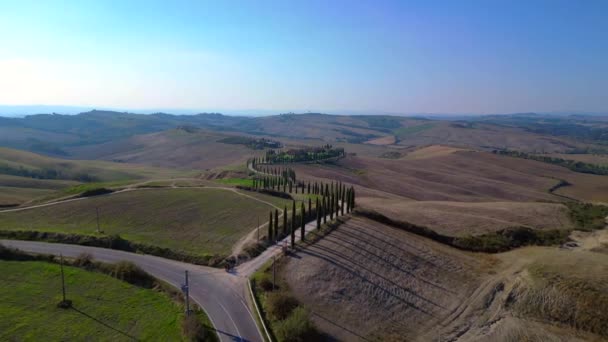 Italia Cipreses Carretera Callejón Rural Toscana Sobrevuelo Sobrevuelo Drone Cinemático — Vídeos de Stock