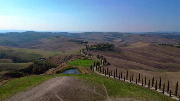 Italien Zypressen Straße Ländliche Allee Toskana Absteigende Drohne Filmisch — Stockvideo