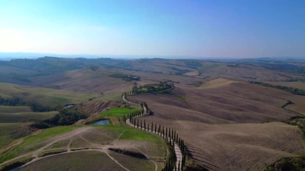 Italie Cyprès Route Ruelle Rurale Toscane Panorama Drone Cinématique — Video