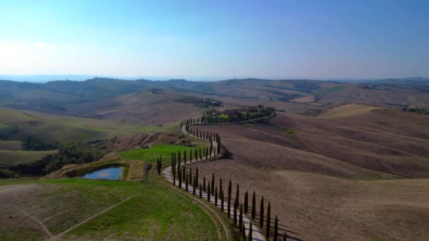 Italien Cypresses Väg Landsbygd Gränd Toscana Panorama Bana Drönare Cinematic — Stockvideo