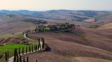 İtalya Cypress Yolu, Toskana kırsal kesimi. Ters İHA 4k sinematikle uç