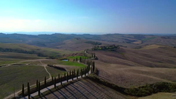 Italia Cipreses Carretera Callejón Rural Toscana Dron Descendente Cinemático — Vídeo de stock