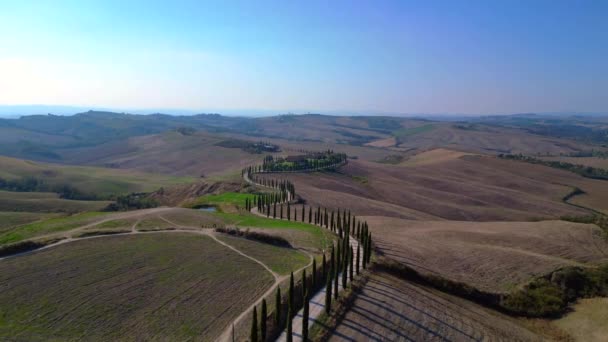 Włochy Cyprysy Drogi Wiejskiej Alei Toskania Startu Podnieść Drona Kinematograficzne — Wideo stockowe