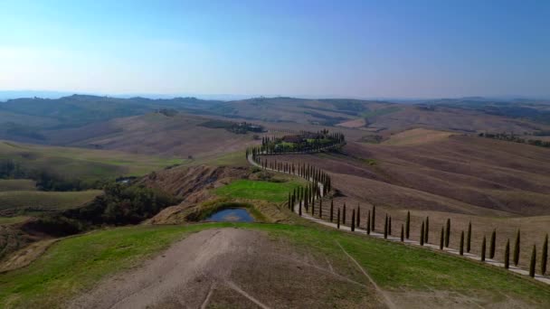 Itália Ciprestes Estrada Beco Rural Toscana Visão Geral Órbita Ampla — Vídeo de Stock