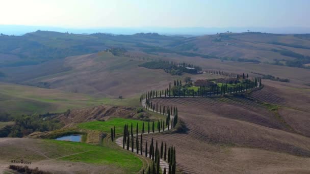 Italië Cypressen Weg Landelijk Steegje Toscane Dalende Drone Filmische — Stockvideo