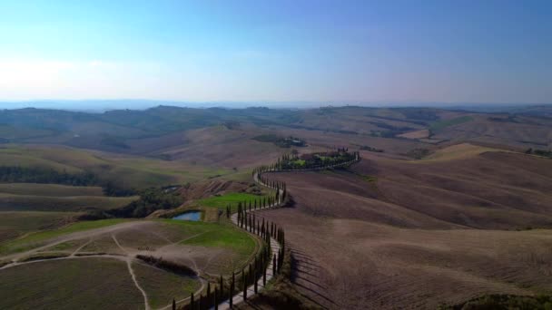 Italie Cyprès Route Ruelle Rurale Toscane Drone Descendant Cinématique — Video