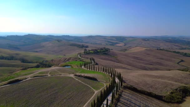 Italien Cypresses Väg Landsbygd Gränd Toscana Bom Glider Till Vänster — Stockvideo