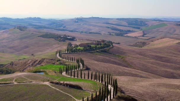 Italia Cipreses Carretera Callejón Rural Toscana Panorama General Drone Cinemático — Vídeo de stock