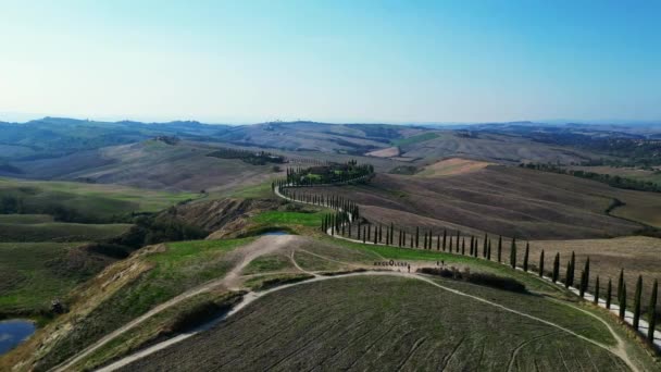 Itália Ciprestes Estrada Beco Rural Toscana Panorama Órbita Drone Cinemática — Vídeo de Stock