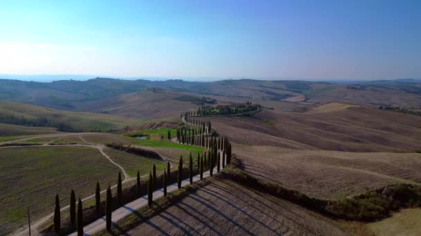 Italie Cyprès Route Ruelle Rurale Toscane Survol Survol Drone Cinématique — Video