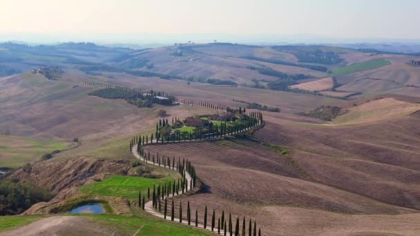 Italia Cipreses Carretera Callejón Rural Toscana Volar Arriba Abajo Grúa — Vídeos de Stock