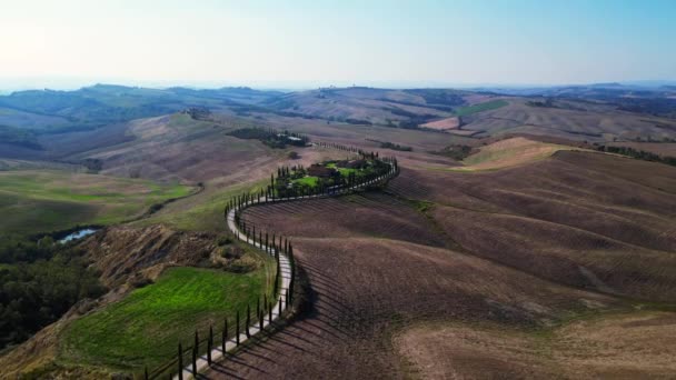 Itália Ciprestes Estrada Beco Rural Toscana Cair Drone Cinemática — Vídeo de Stock