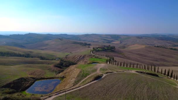 Italia Cipreses Carretera Callejón Rural Toscana Boom Deslizante Dron Derecho — Vídeos de Stock