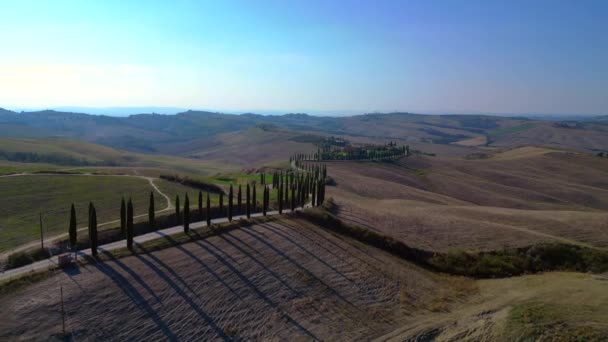 Italie Cyprès Route Ruelle Rurale Toscane Panorama Drone Cinématique — Video