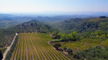 İHA. Tuscany Vadisi Zeytin Şarap Tarlası Ttaly Doğa Ekim 2023 Hız rampası Hiperlapse zaman aşımı yüksek kalite 4k görüntü