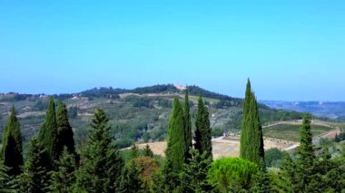 İHA. Tuscany Vadisi Olive Winefield Ttaly Doğa Ekim 2023 'te İHA' nın 4K 'lık üst geçişi.