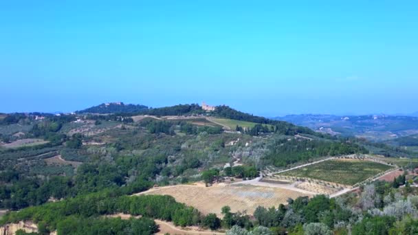 Drone Vallée Toscane Olive Winefield Ttaly Nature Octobre 2023 Panorama — Video