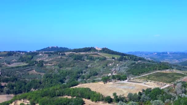 Dronă Valea Toscanei Olive Winefield Ttaly Natura Octombrie 2023 Boom — Videoclip de stoc