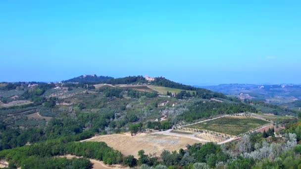 Drone Valle Toscana Oliva Winefield Ttaly Naturaleza Octubre 2023 Panorama — Vídeo de stock