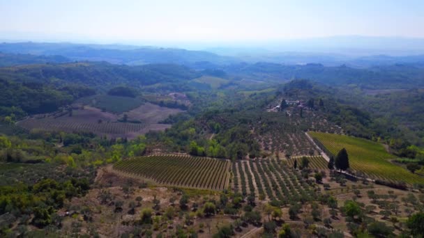 Tuscany Vadisi Olive Winefield Ttaly Doğa Tarihi Ekim 2023 Nsansız — Stok video