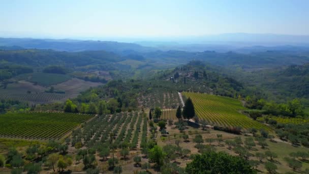 Drone Valle Toscana Olive Winefield Ttaly Nature Octubre 2023 Rotacion — Vídeos de Stock