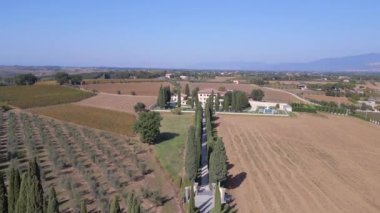 Tuscany Cypress Alley Road Mediteran İtalya 'da 23. uçuş sırasında 4k' lik İHA görüntüsü düştü.