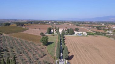 Tuscany Cypress Alley Yolu Mediteran İtalya 23 'üncü İHA 4k' lik iniş görüntüsü.