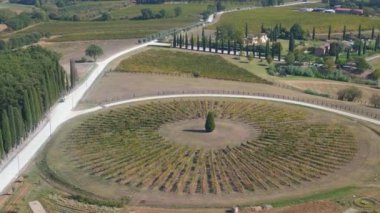 Toskana şarabı yetiştirme bölgesi Mediteran İtalya 23 'e düştü. 4k görüntü