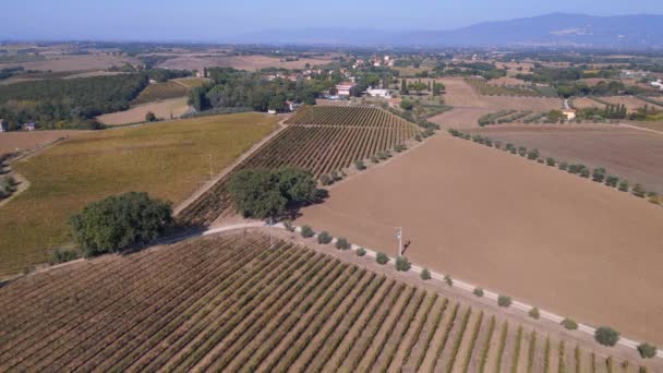 Toskana Weinanbaugebiet Mittelmeer Italien Herbst Panorama Übersicht Drohne Filmmaterial — Stockvideo