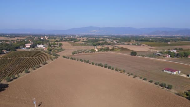 Toscana Zona Vinícola Mediteran Italia Caída Dron Descendente Metraje — Vídeos de Stock