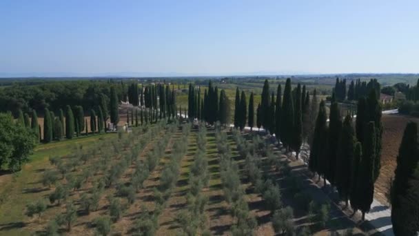 Toscana Vinodlingsområde Mediteran Italien Faller Panorama Översikt Drönare Bilder — Stockvideo