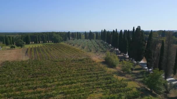 Toscana Vinodlingsområde Mediteran Italien Falla Överflygning Överflygning Drönare Film — Stockvideo