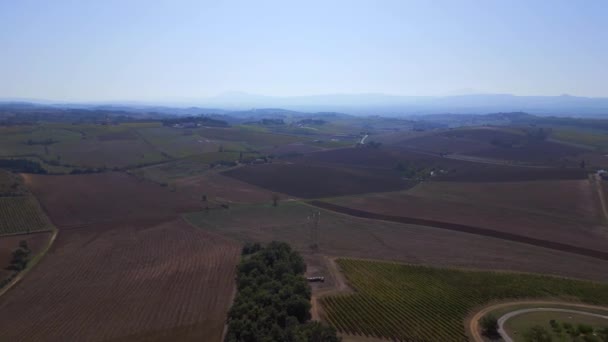 Toscana Cypress Alley Road Mediteran Italia Caída Rotación Derecha Drone — Vídeo de stock