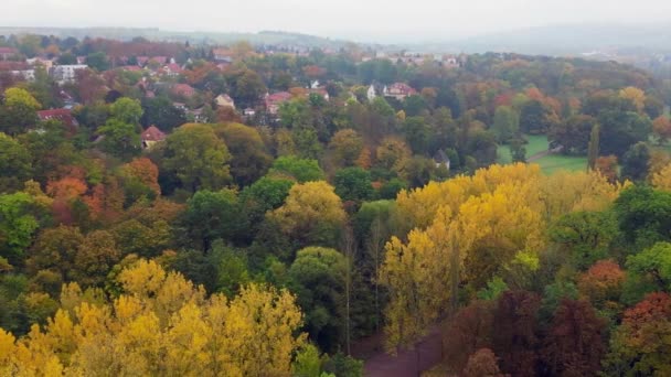 Weimar Historisch Park Thüringen Duitsland Vallen Boom Glijden Naar Links — Stockvideo