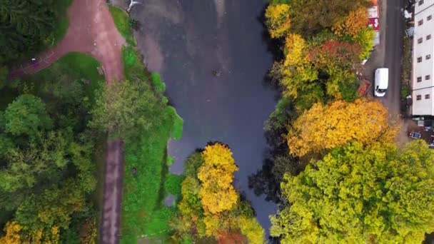 威玛历史公园图林根德国沦陷23 垂直鸟瞰无人驾驶飞机4K镜头 — 图库视频影像