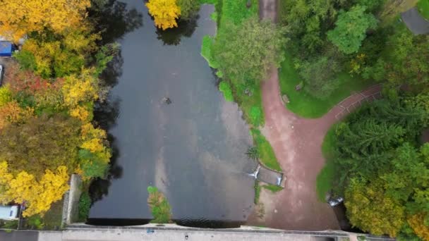 Weimar Parque Histórico Turingia Alemania Caída Inclinar Hasta Drone Metraje — Vídeo de stock