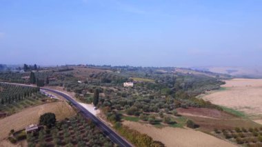 Cypress sokağı sabah sisi Tuscany Vadisi İtalya 2023 'te düştü İHA 4K meditasyon manzarası görüntüleri