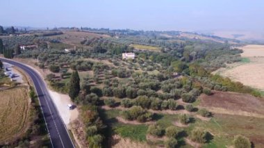 Cypress sokağı sabah sisi Tuscany Vadisi 2023 düşüşü. İHA 4K ters meditasyon manzarası görüntüsü uçuşu.