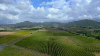 Meditasyon yapan Tuscany Şarap Tarlası Vadisi İtalya düşüyor. panorama genel görünümü drone 4k video