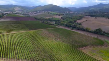 Meditasyon yapan Tuscany Şarap Tarlası Vadisi İtalya düşüyor. İHA 4K görüntü aktarımı