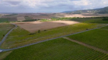 Meditasyon yapan Tuscany Şarap Tarlası Vadisi İtalya düşüyor. panorama genel görünümü drone 4k video