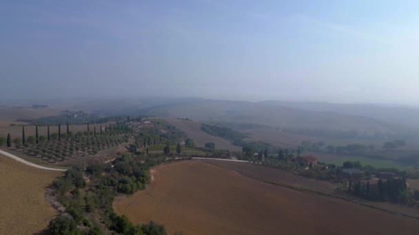 Ciprés Callejón Mañana Niebla Toscana Valle Italia Otoño 2023 Rotación — Vídeos de Stock