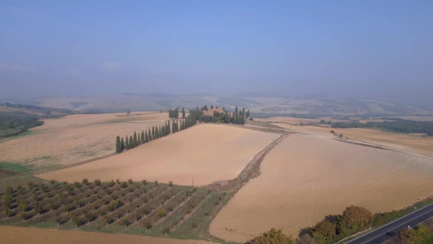 Ciprés Callejón Mañana Niebla Toscana Valle Italia Otoño 2023 Boom — Vídeos de Stock
