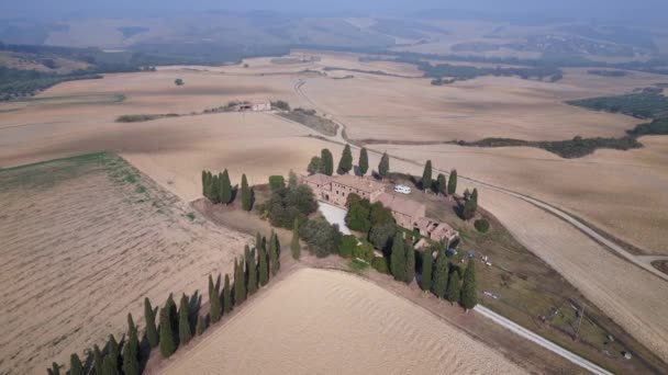 Cypress Aleja Rano Mgła Toskania Dolina Włochy Jesień 2023 Lot — Wideo stockowe