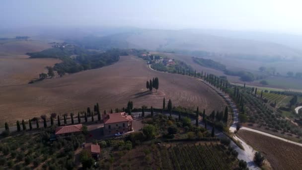 Cyprès Allée Matin Brouillard Toscane Vallée Italie Automne 2023 Large — Video