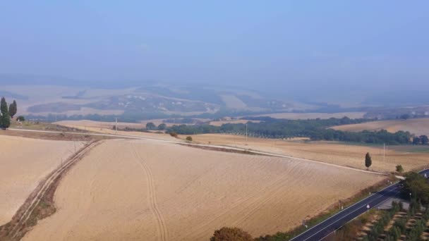 Cipreste Beco Manhã Nevoeiro Toscana Vale Itália Queda 2023 Rotação — Vídeo de Stock