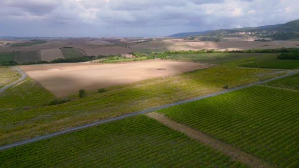 Meditativ Landskap Toscana Vinfält Dal Italien Faller Panorama Översikt Drönare — Stockvideo